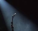Microphone with misty spotlight