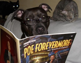 Poe - dog reads Poe Forevermore