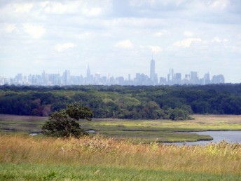 Gatsby Sched-Freshkills Skyline