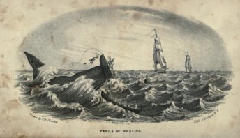 Perils_of_Whaling,_sketch_by_F._A._Olmstead,_1841